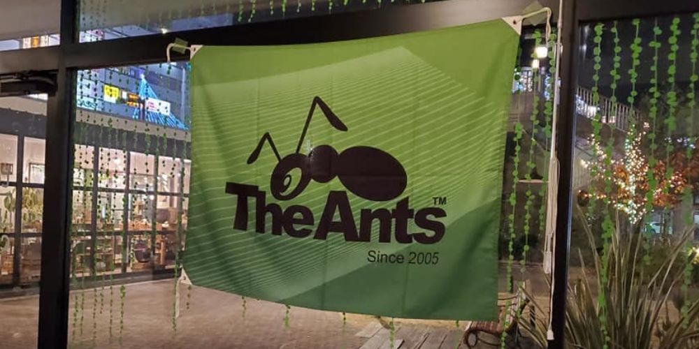 ants15.jpg